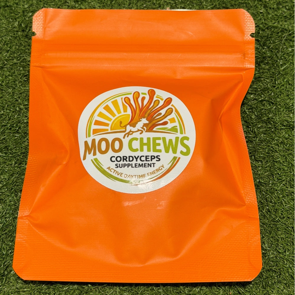 Moochews
